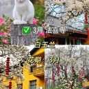 太子湾公园 - 杭州市旅游 缩略图 4