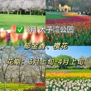 太子湾公园 - 杭州市旅游 缩略图 2