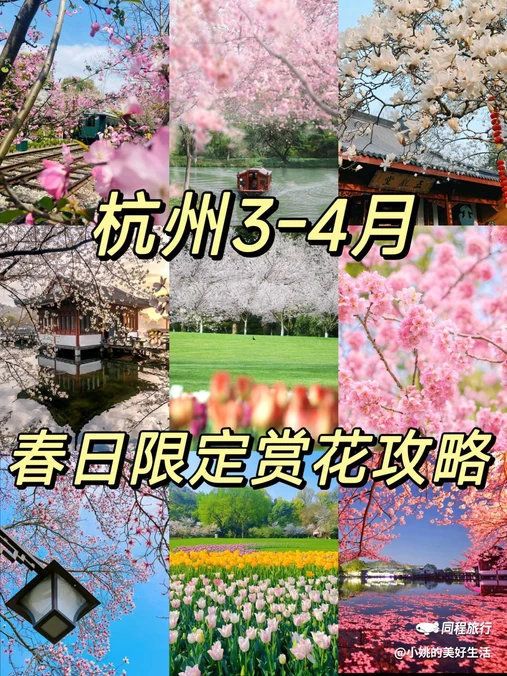 太子湾公园 - 杭州市旅游