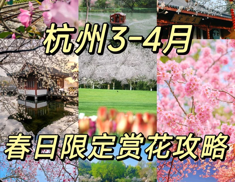 太子湾公园 - 杭州市旅游 1