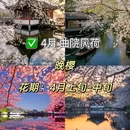太子湾公园 - 杭州市旅游 缩略图 7