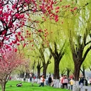西湖风景名胜区 - 杭州市旅游 缩略图 5