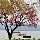 西湖风景名胜区 - 杭州市旅游 缩略图 4