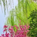 西湖风景名胜区 - 杭州市旅游 缩略图 1