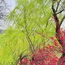 西湖风景名胜区 - 杭州市旅游 缩略图 6