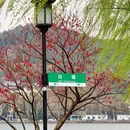 西湖风景名胜区 - 杭州市旅游 缩略图 9