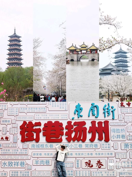 蜀冈瘦西湖风景名胜区 - 扬州市旅游