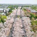蜀冈瘦西湖风景名胜区 - 扬州市旅游 缩略图 5