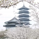 蜀冈瘦西湖风景名胜区 - 扬州市旅游 缩略图 9