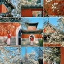 万寿寺 - 北京市旅游 缩略图 5