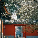 万寿寺 - 北京市旅游 缩略图 1