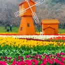 苏州上方山国家森林公园 - 苏州市旅游 缩略图 1