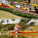 云台花园 - 广州市旅游 缩略图 7