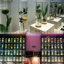 广东中医药博物馆 - 广州市旅游 缩略图 5