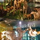 广东中医药博物馆 - 广州市旅游 缩略图 4
