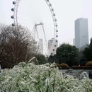 逍遥津公园 - 合肥市旅游 缩略图 6