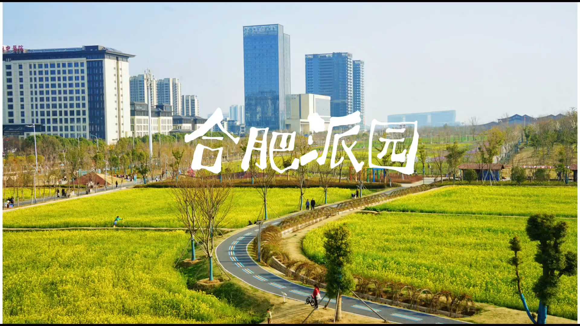 派园 - 合肥市旅游