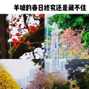 沙面岛 - 广州市旅游 缩略图 1
