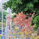 沙面岛 - 广州市旅游 缩略图 7