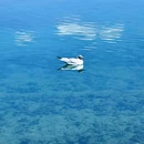 三色云河泸沽湖店 - 丽江市旅游 缩略图 9