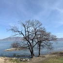 大理晨夕缘海景客栈 - 大理白族自治州旅游 缩略图 2