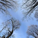 大理晨夕缘海景客栈 - 大理白族自治州旅游 缩略图 6
