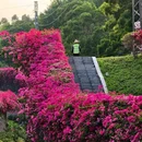 广东树木公园 - 广州市旅游 缩略图 3