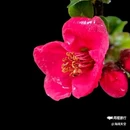 西安幸福林带 - 西安市旅游 缩略图 8