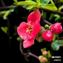 西安幸福林带 - 西安市旅游 缩略图 1