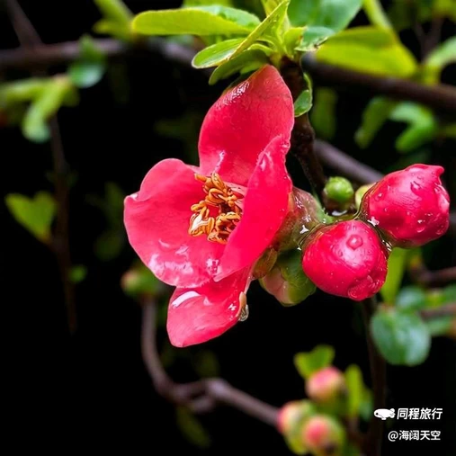 西安幸福林带 - 西安市旅游