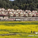 桔子酒店(重庆解放碑步行街长江索道店) - 重庆市旅游 缩略图 2