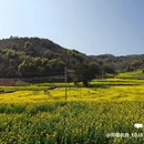 桔子酒店(重庆解放碑步行街长江索道店) - 重庆市旅游 缩略图 3