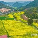 桔子酒店(重庆解放碑步行街长江索道店) - 重庆市旅游 缩略图 7