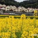 桔子酒店(重庆解放碑步行街长江索道店) - 重庆市旅游 缩略图 8