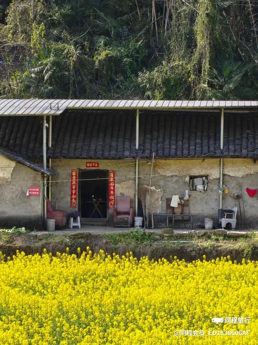 桔子酒店(重庆解放碑步行街长江索道店) - 重庆市旅游