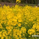 桔子酒店(重庆解放碑步行街长江索道店) - 重庆市旅游 缩略图 9