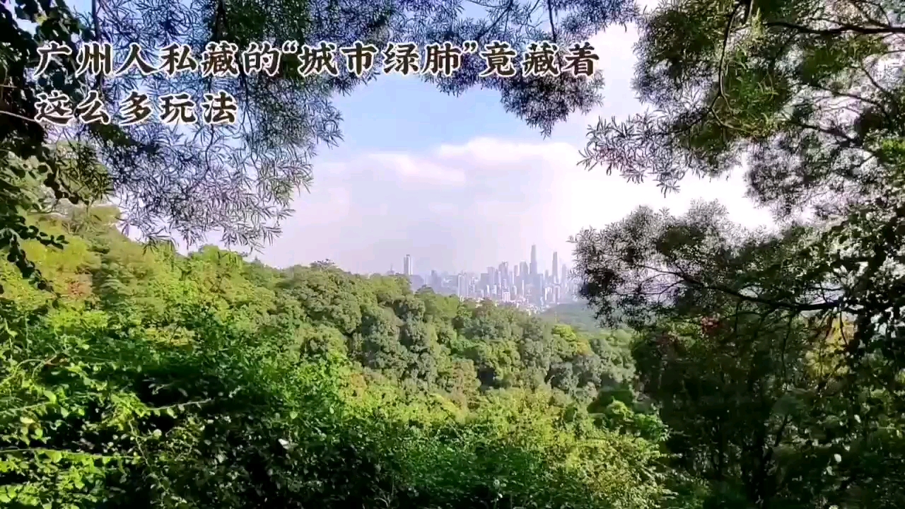 悦莱客栈(广州增城新塘高铁站店) - 广州市旅游
