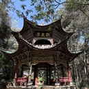 蝴蝶泉 - 大理白族自治州旅游 缩略图 6