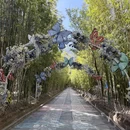 蝴蝶泉 - 大理白族自治州旅游 缩略图 2