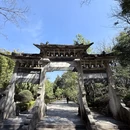 蝴蝶泉 - 大理白族自治州旅游 缩略图 4