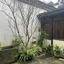 花筑奢·绍兴荷暮化石私藏博物馆民宿 - 绍兴市旅游 缩略图 6