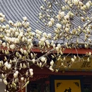 四季逸境酒店(金华高铁站银泰城店) - 金华市旅游 缩略图 8