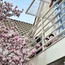 No Worries·brunch&bistro(河西店) - 南京市旅游 缩略图 9