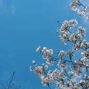 江南环球港 - 常州市旅游 缩略图 5