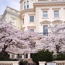 伦敦 - 英国旅游 缩略图 1