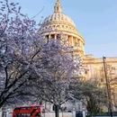伦敦 - 英国旅游 缩略图 3