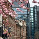 伦敦 - 英国旅游 缩略图 8
