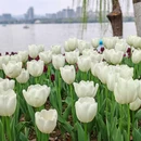 瓜渚湖公园 - 绍兴市旅游 缩略图 1