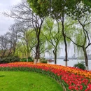 瓜渚湖公园 - 绍兴市旅游 缩略图 5