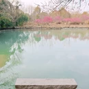 西溪国家湿地公园 - 杭州市旅游 缩略图 5